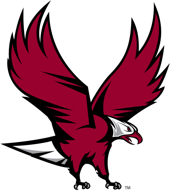 NCCU Eagles logos iron-ons